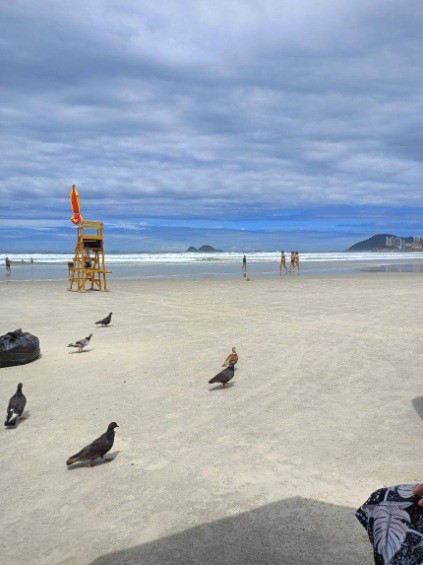 Apartamento, 2 quartos - Foto 1